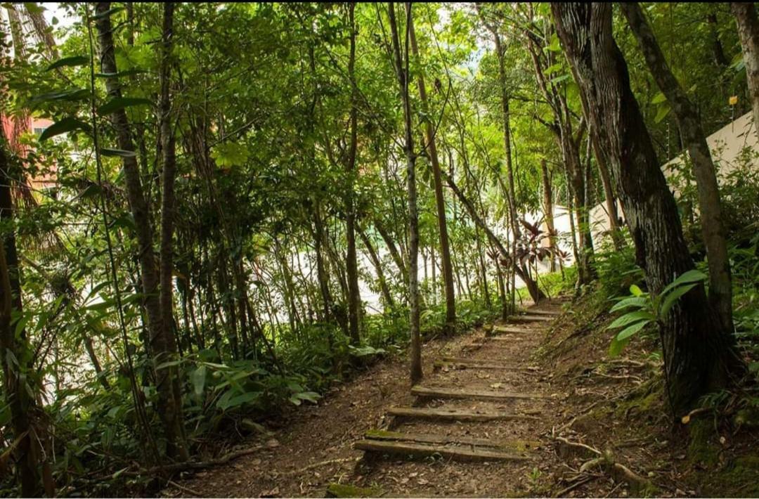 Апартаменты Ape Da Gabi Балнеариу-Камбориу Экстерьер фото